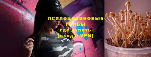 синтетический гашиш Медвежьегорск