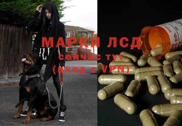 соль курить ск Медногорск