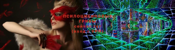 мяу мяу мука Мегион